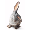 Is anyone out there really listening? listening-feature